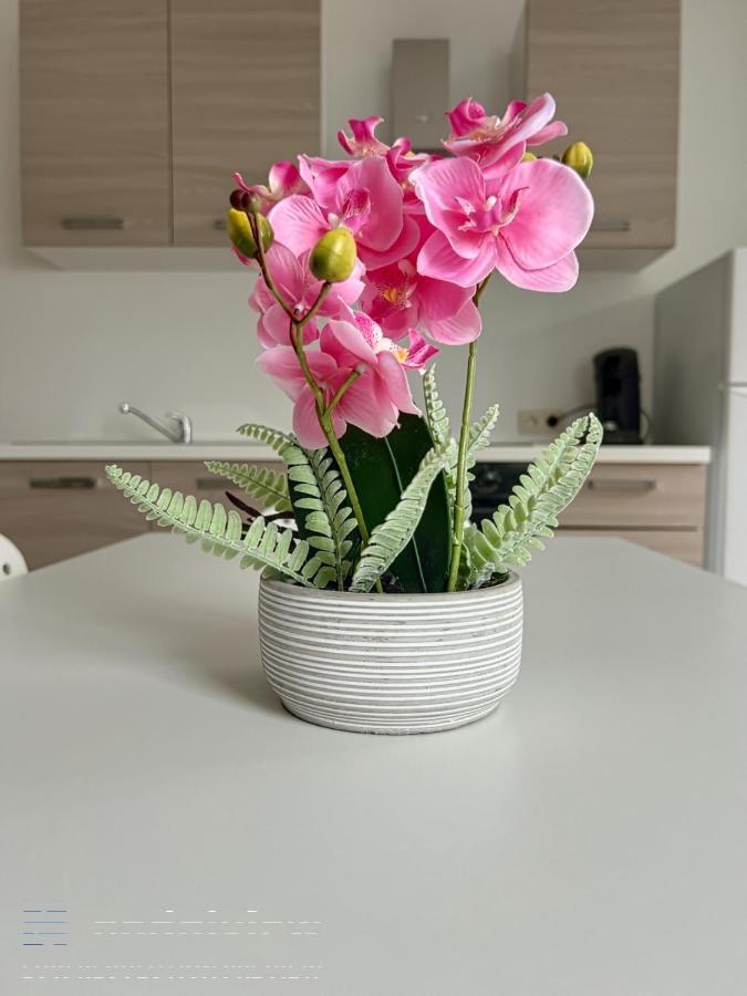 Apartmán Wauters 77 Bruxelles -Charleroi-Airport Exteriér fotografie
